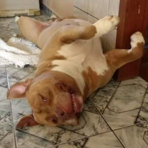 Killer (da Cristiane)