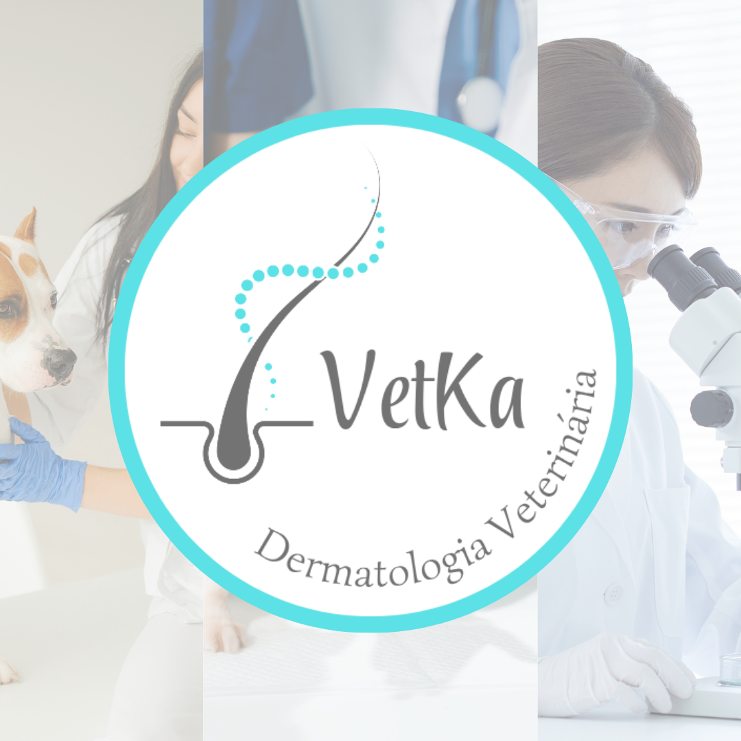 Logotipo com fotos de serviços no fundo